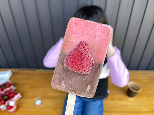 イチゴ＆チョコのアイスキャンディー