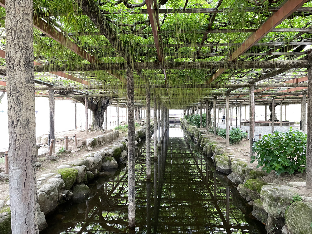 天王川公園