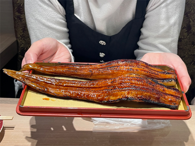 特選焼き穴子