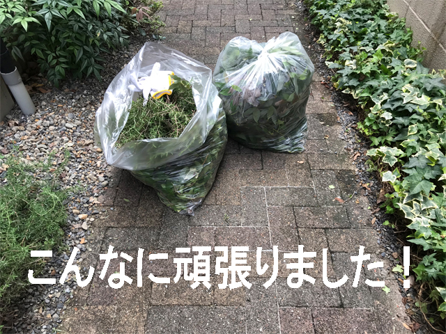 草を刈る