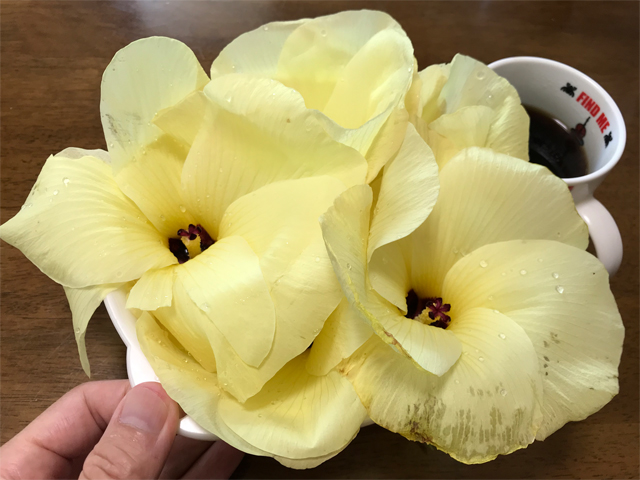 花オクラ
