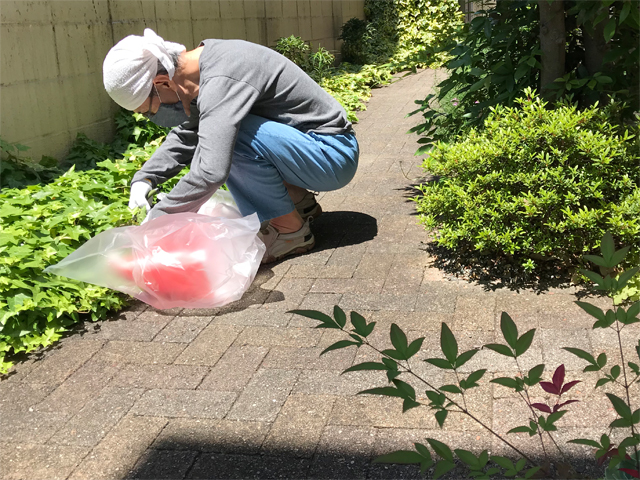 草を刈る