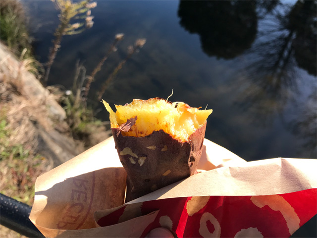 茨城県産の紅天使