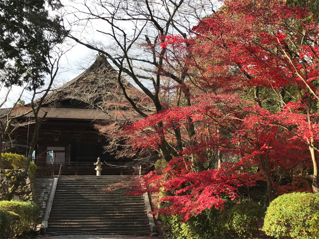 三井寺
