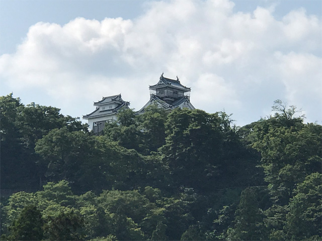 越前大野城