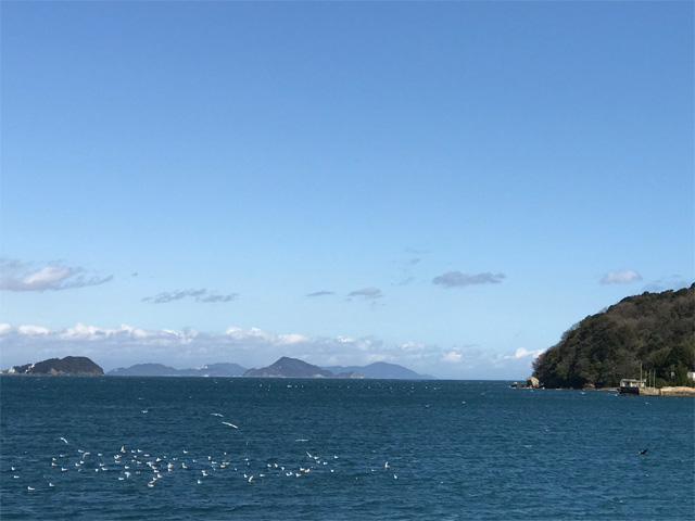 鳥羽の海