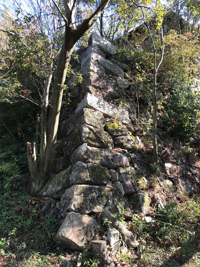 八幡山城