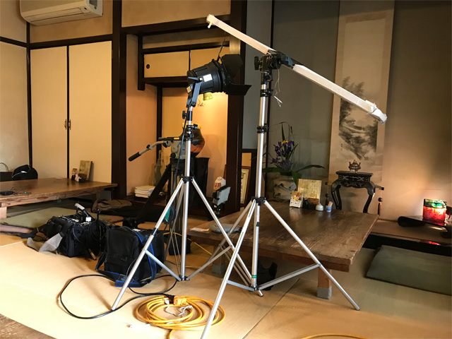 翼果楼