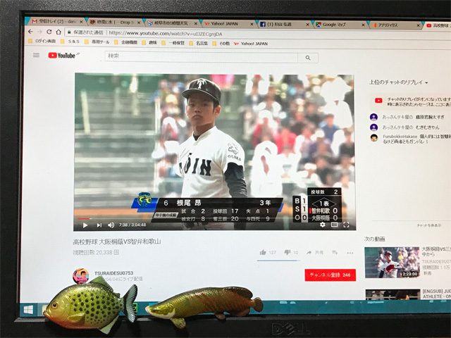 根尾昴君