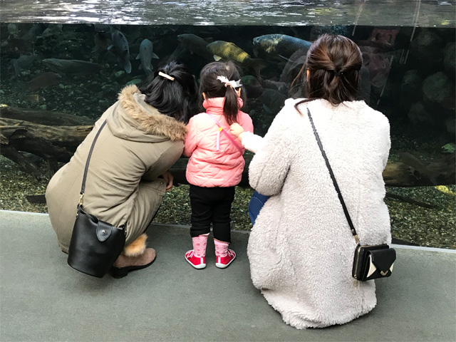 世界淡水魚園水族館 アクア・トト ぎふ