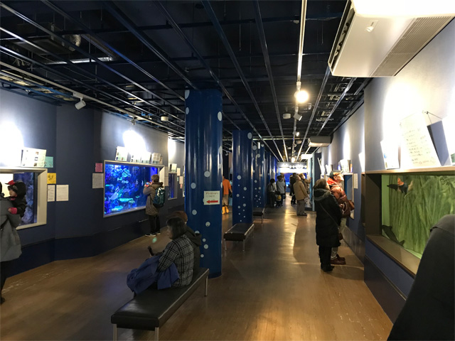 蒲郡市竹島水族館