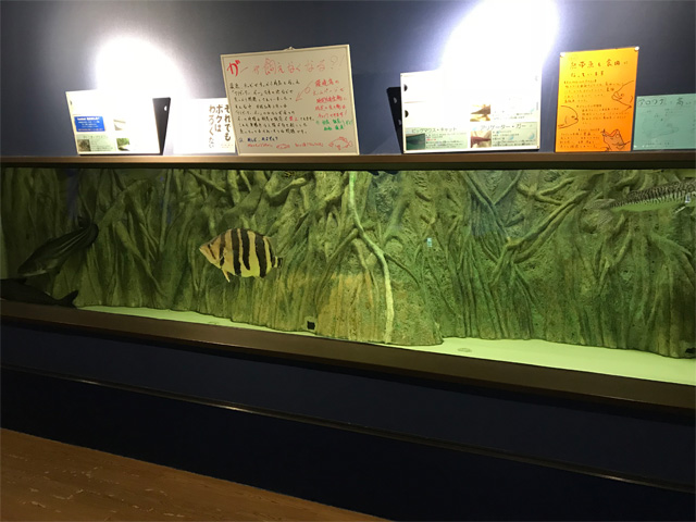 蒲郡市竹島水族館