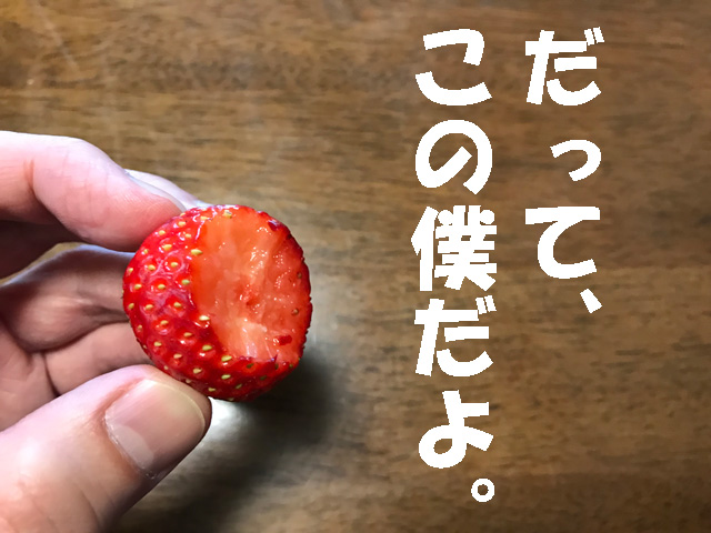 だって、この僕だよ。