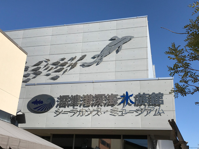 想像以上に小さかったけどいい感じの沼津港深海水族館