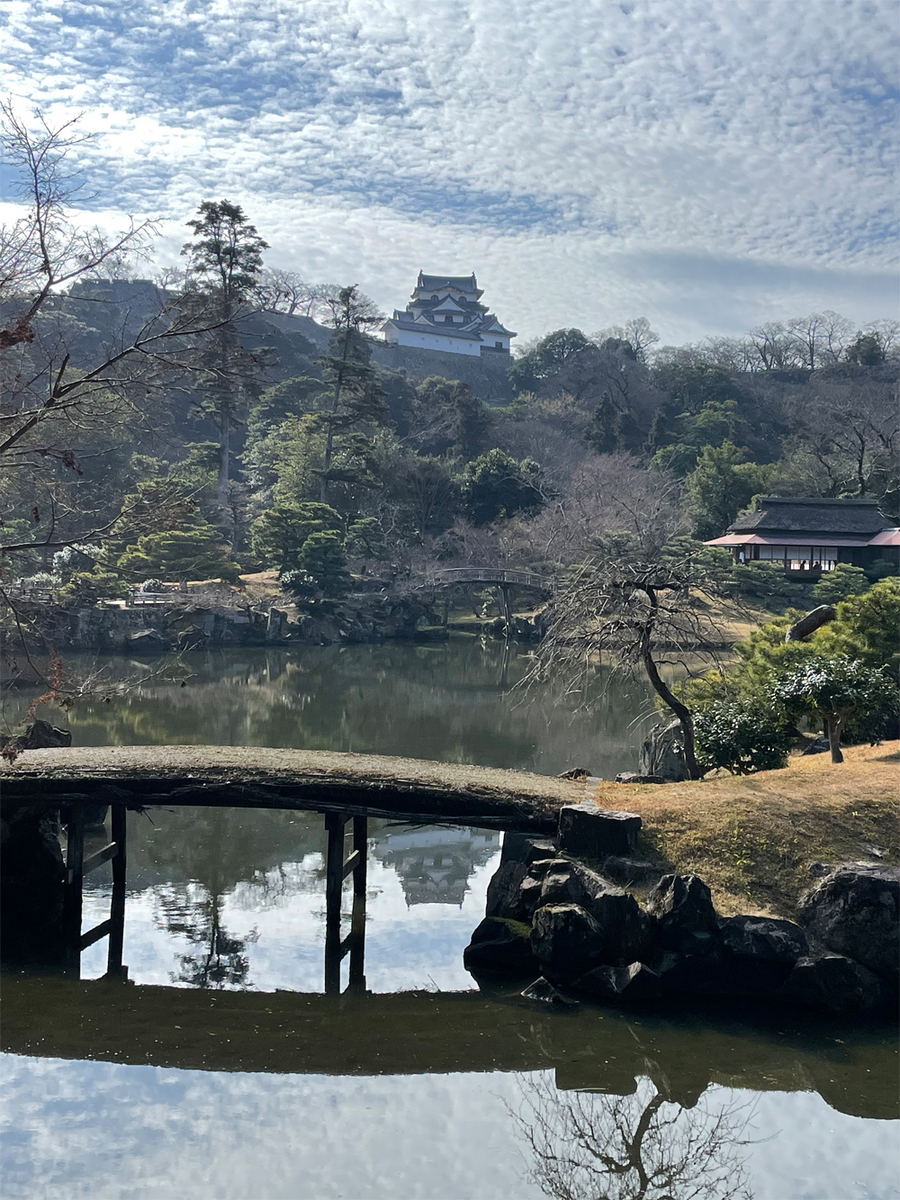 玄宮園から眺めた彦根城の天守