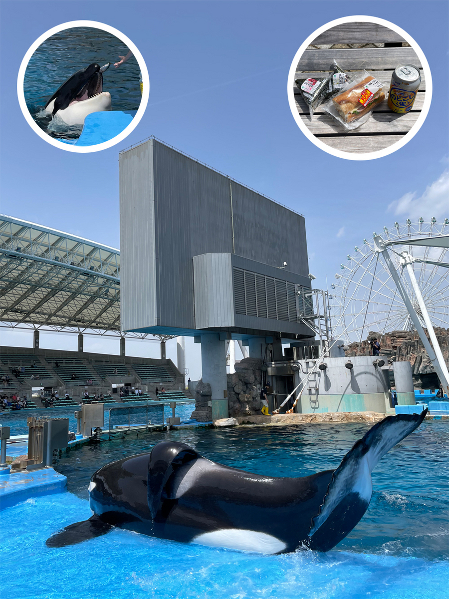 名古屋港水族館』の歴代のシャチに思いを馳せた後のスタバ｜愛知県