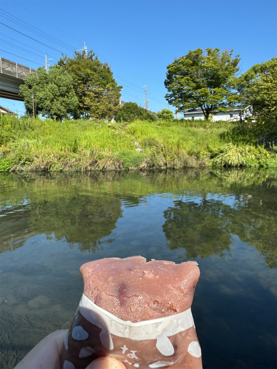 新荒田川