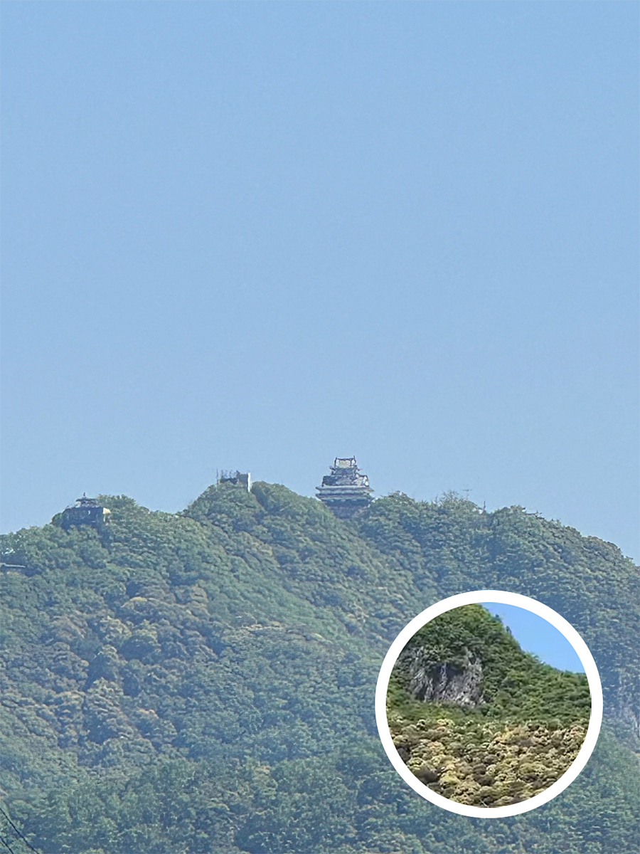 金華山