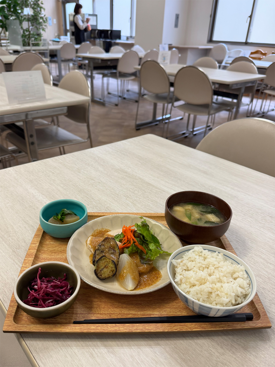 鶏と野菜の香味ごまだれ定食