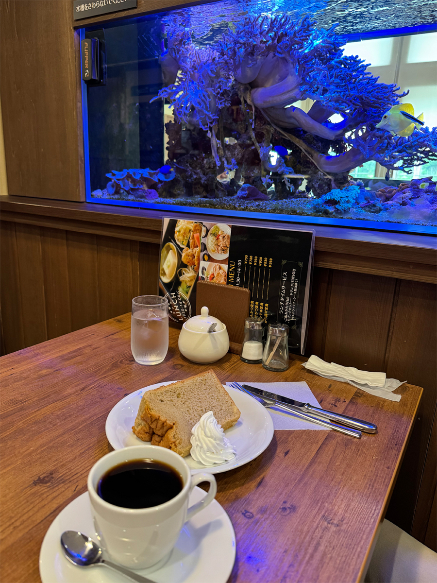 cafe フジミ