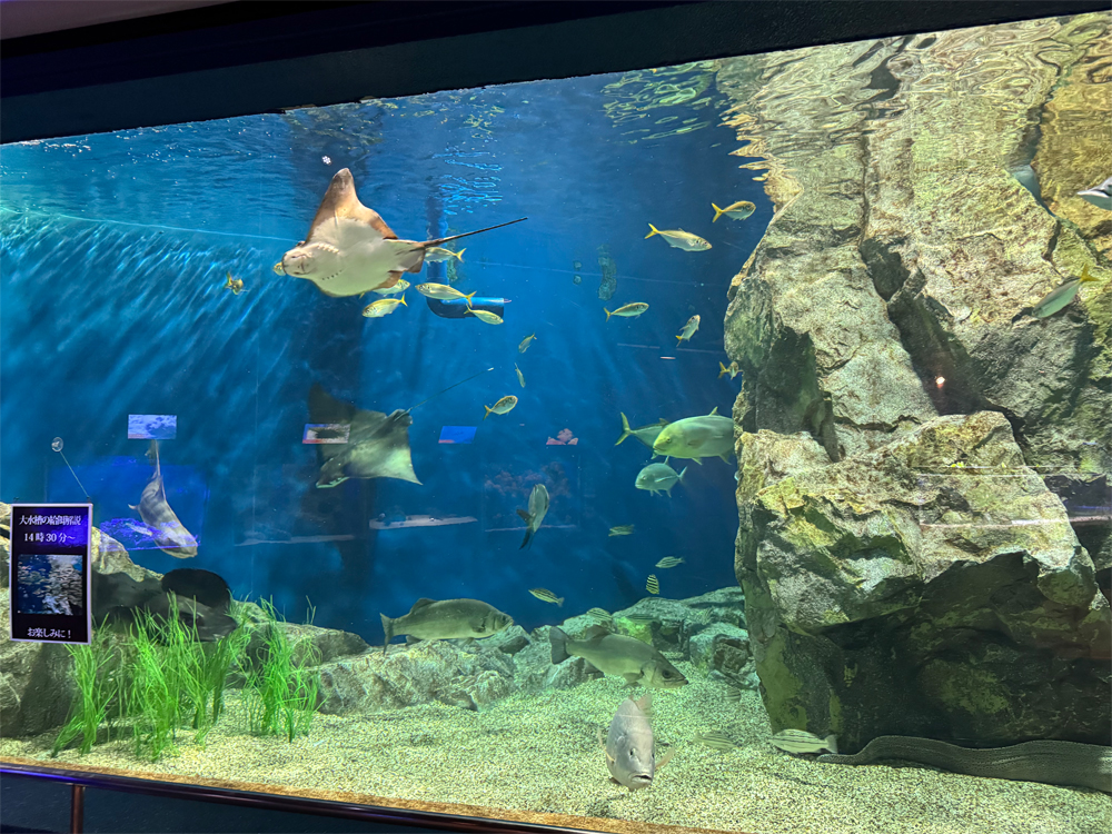 碧南海浜水族館