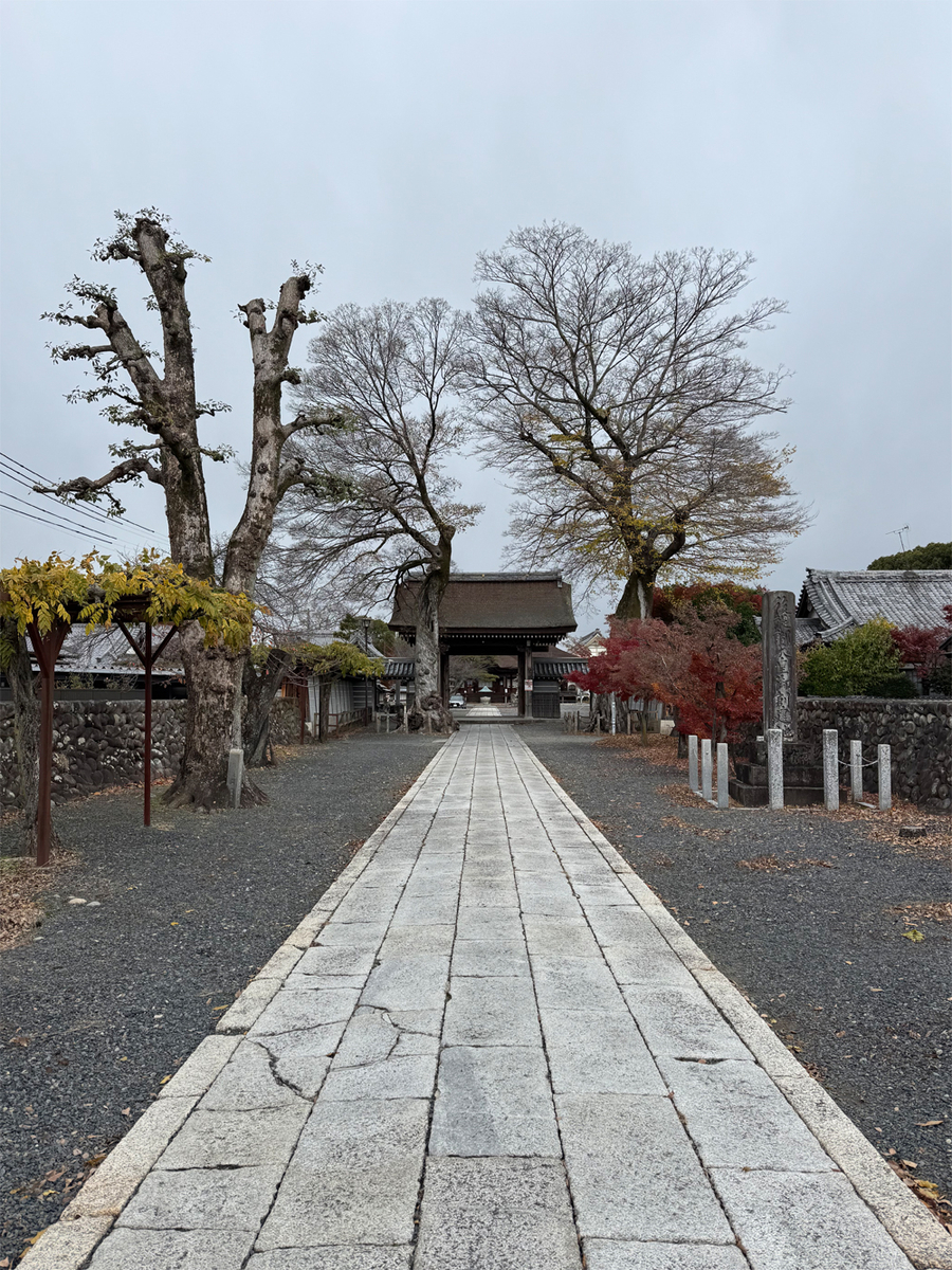 曼陀羅寺