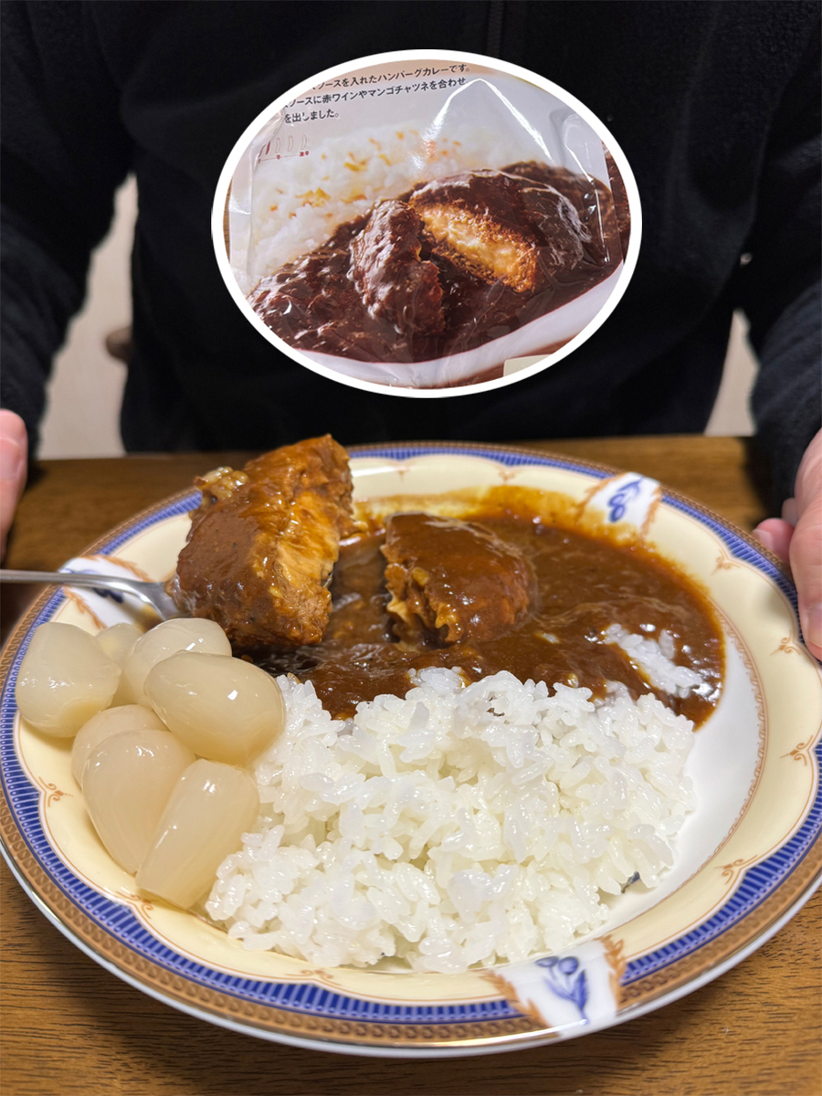 ハンバーグのデミグラスソースカレー