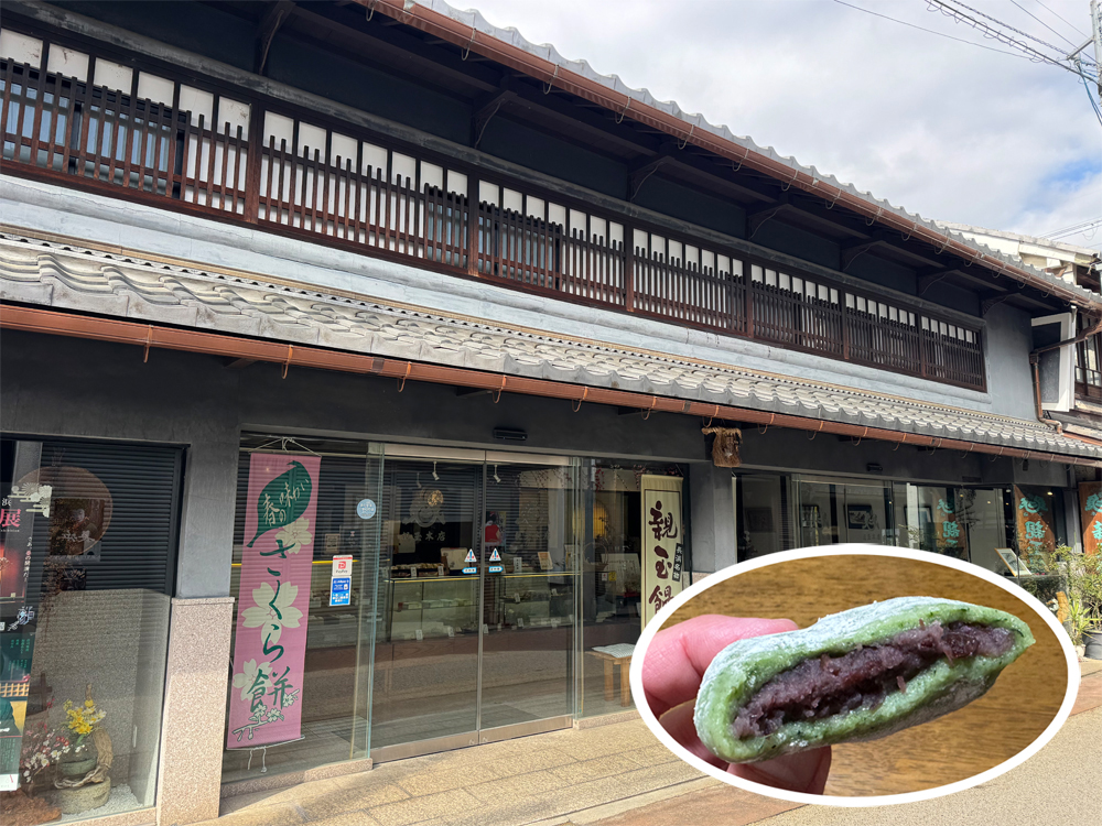 親玉本店の草もち
