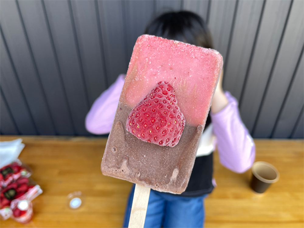 イチゴ&チョコのアイスキャンディー