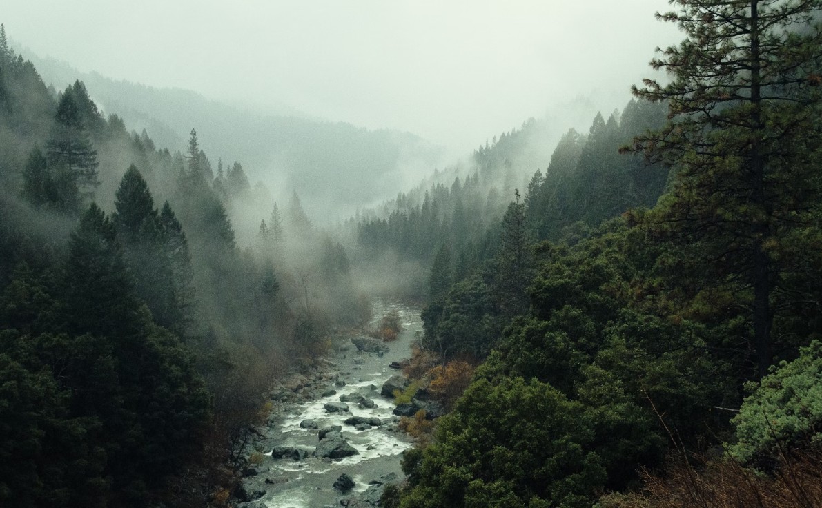山村の嵐
