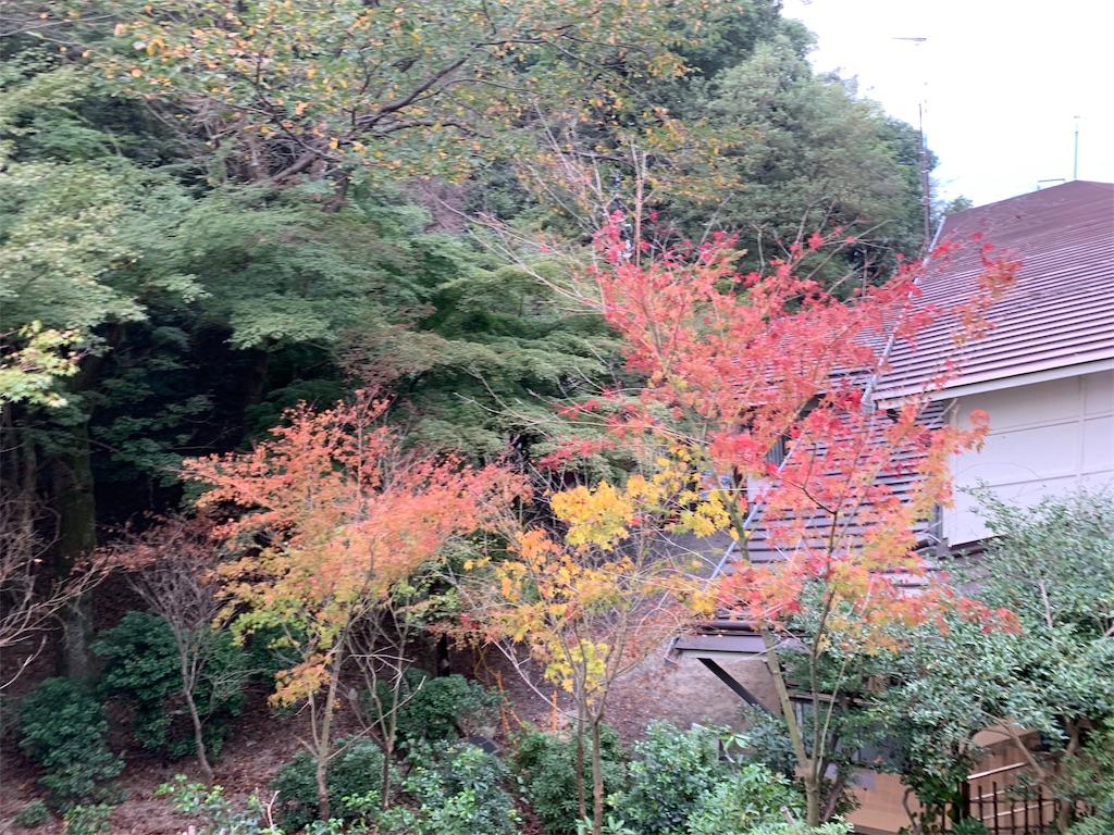 f:id:hiromigou:20191112002750j:image f:id:hiromigou:20191112002750j:image