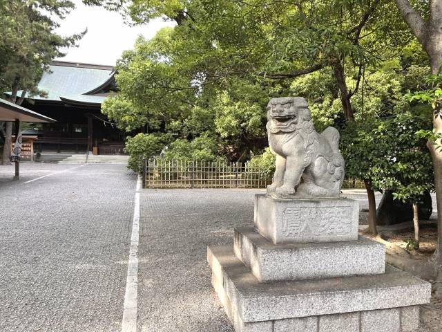 【未接種婚活】浜松・掛川（静岡県）の会員様（ご入会者様）の特徴