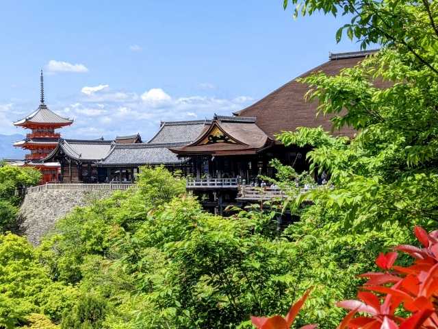 京都の未接種婚活会員様（ご入会者様）の特徴