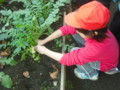 20101220103131