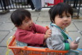 20110315113356