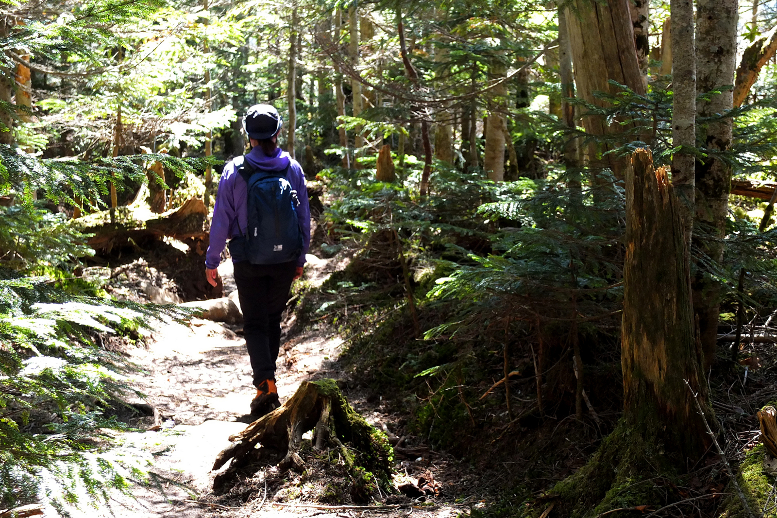 f:id:hiromu228:20170612193520j:plain