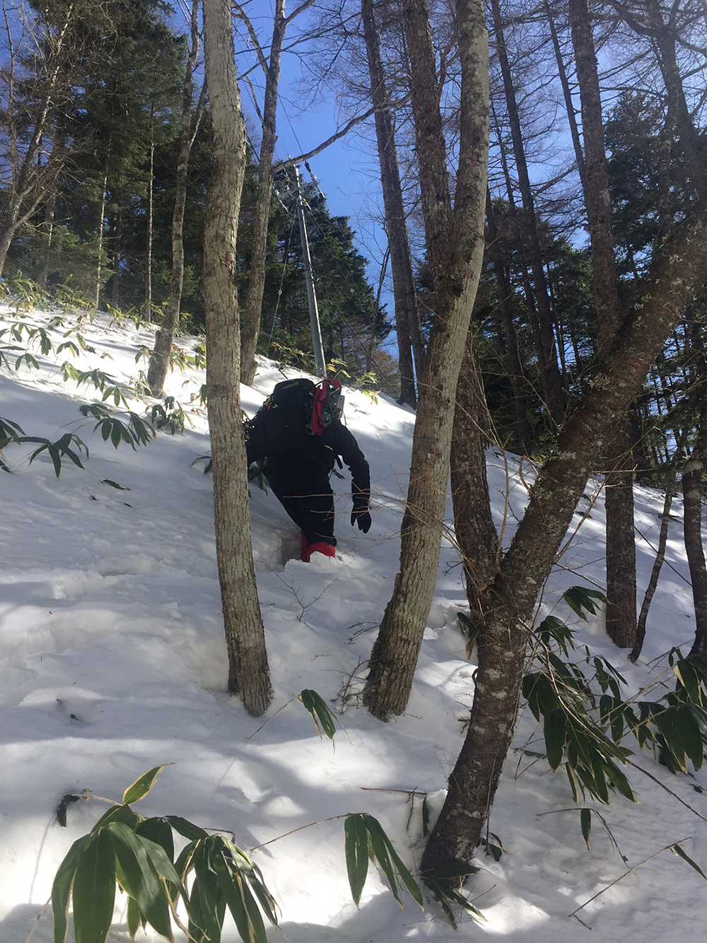 f:id:hiromu228:20180219192018j:plain