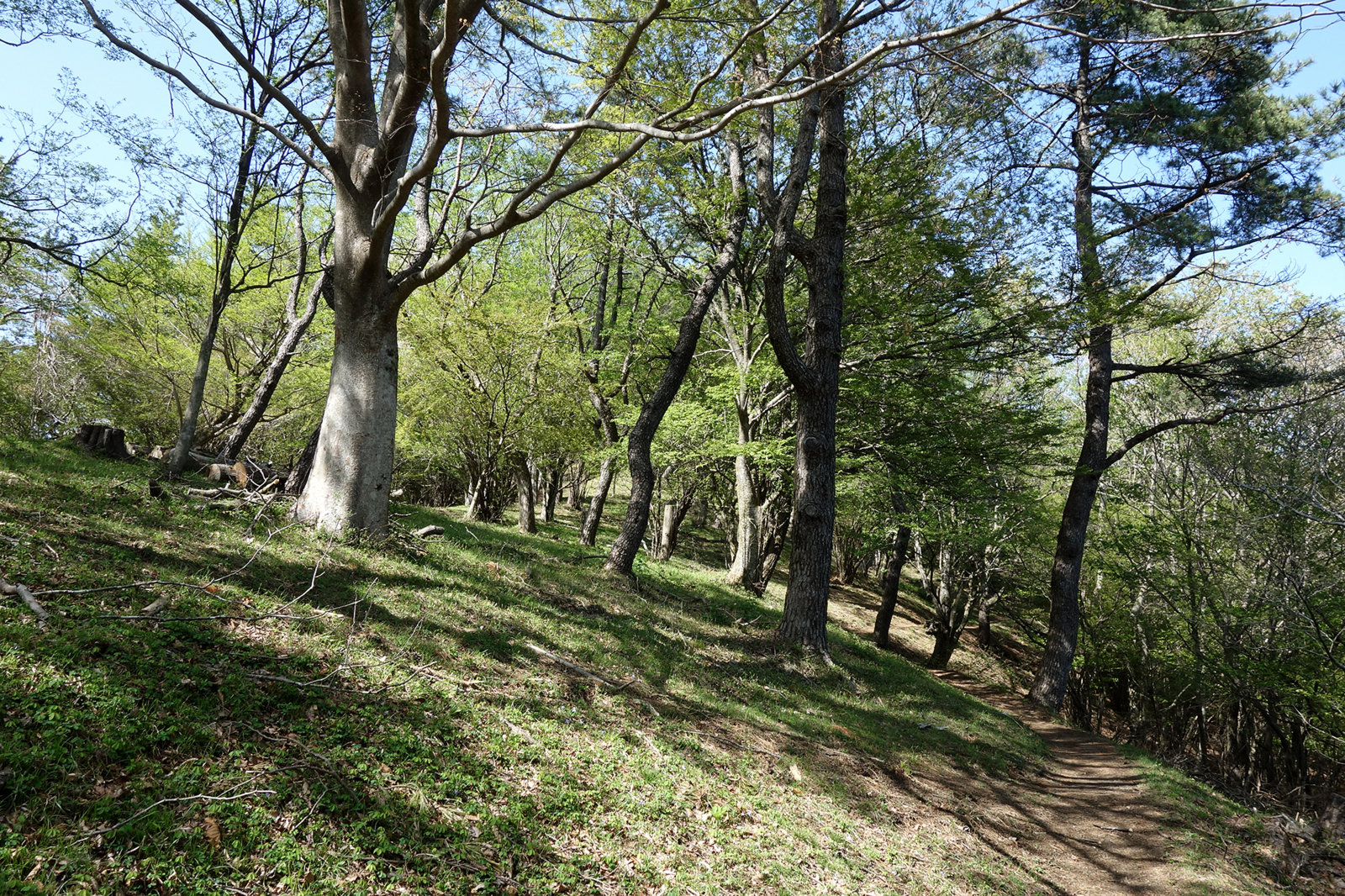 f:id:hiromu228:20180425115141j:plain f:id:hiromu228:20180425115141j:plain
