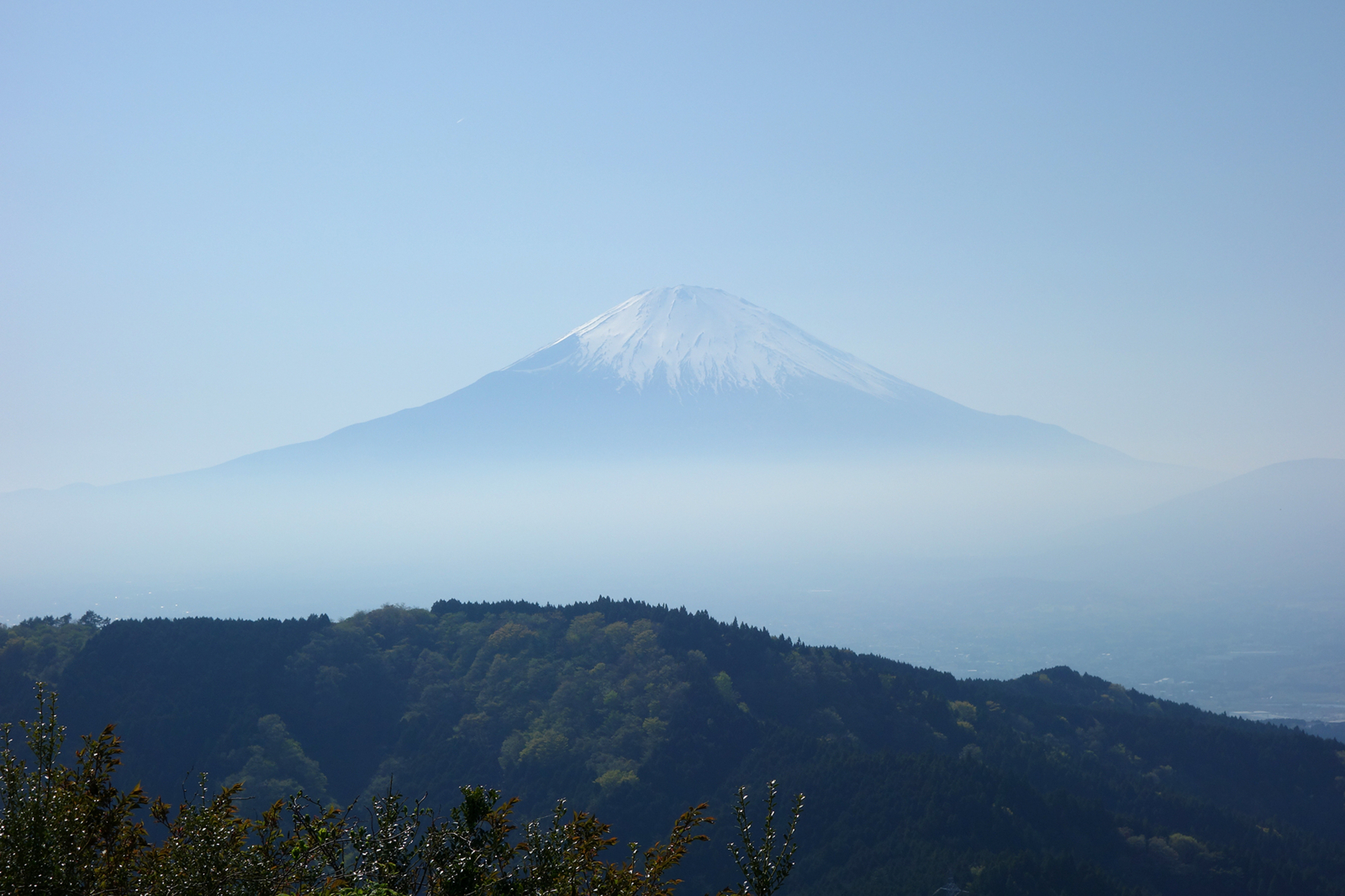 f:id:hiromu228:20180425115201j:plain f:id:hiromu228:20180425115201j:plain