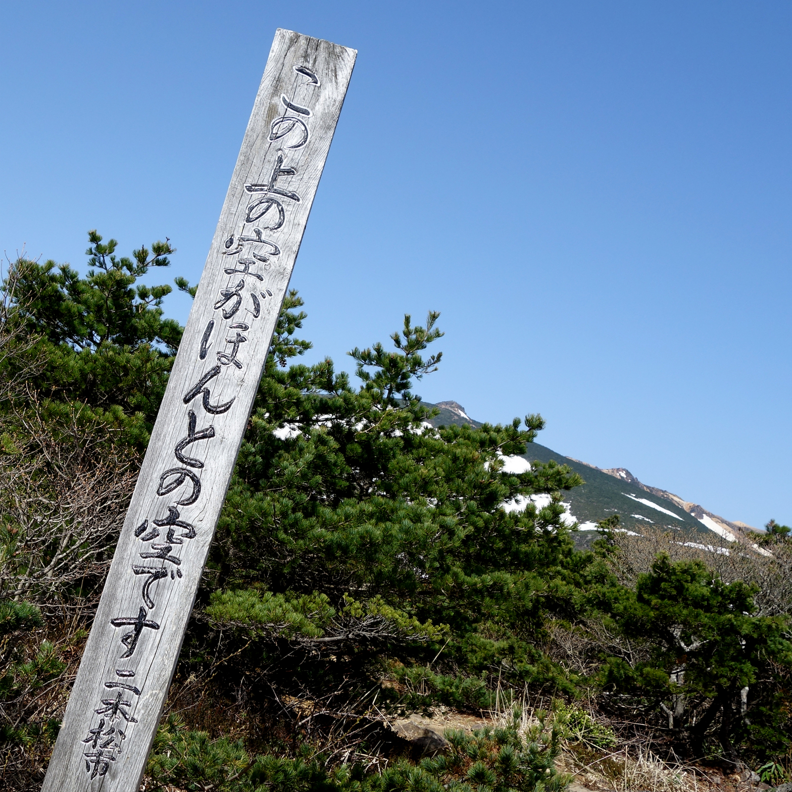f:id:hiromu228:20180501184458j:plain f:id:hiromu228:20180501184458j:plain