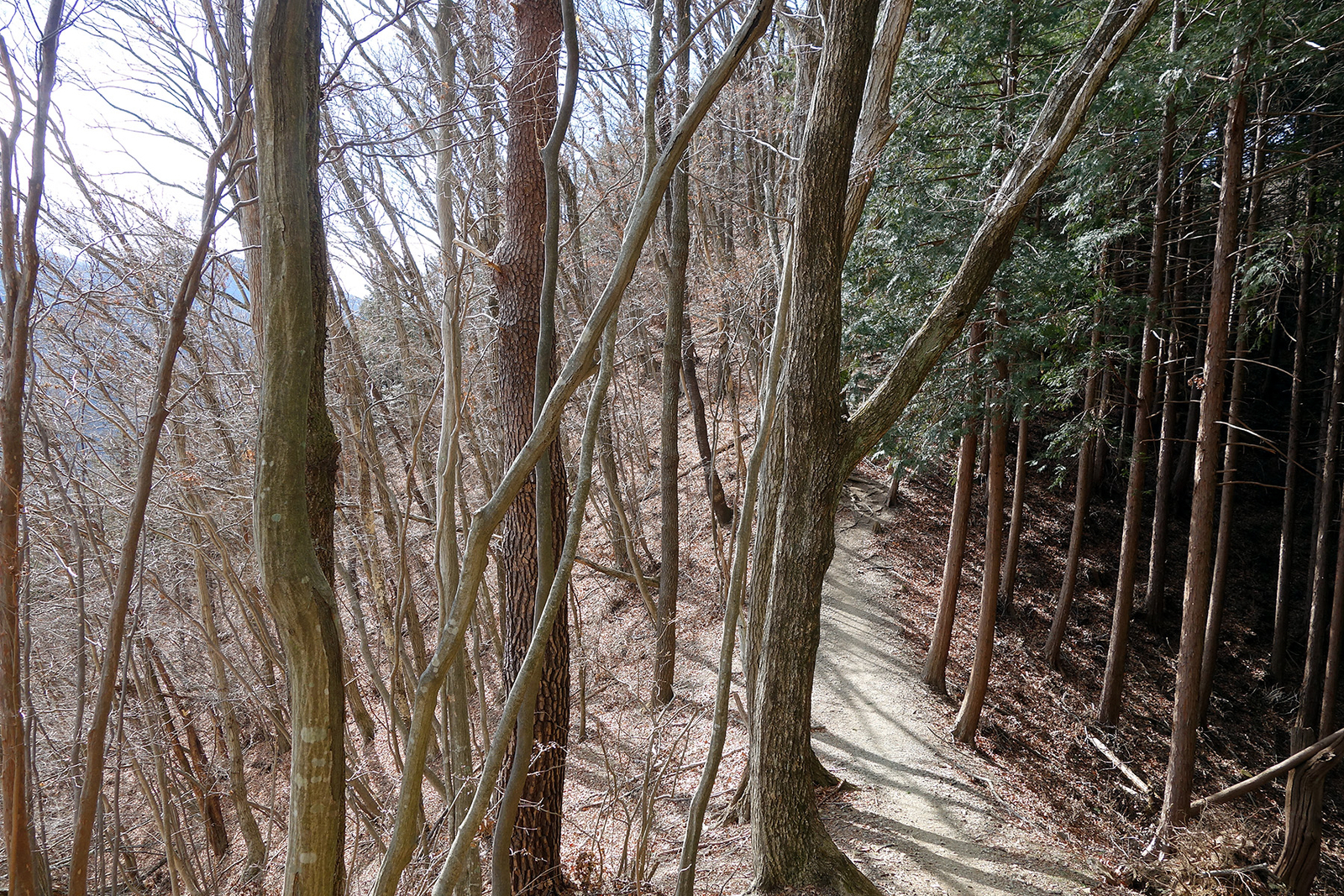 f:id:hiromu228:20190128144345j:plain