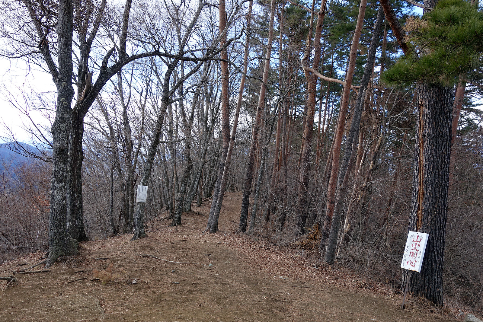 f:id:hiromu228:20190128144442j:plain