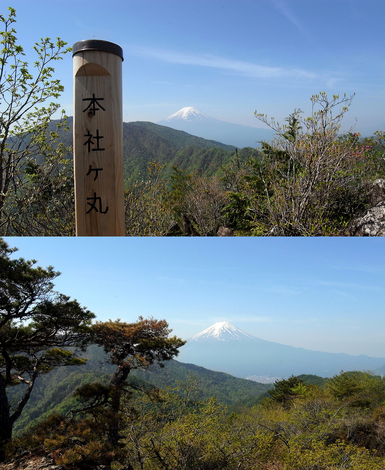 f:id:hiromu228:20190128145739j:plain