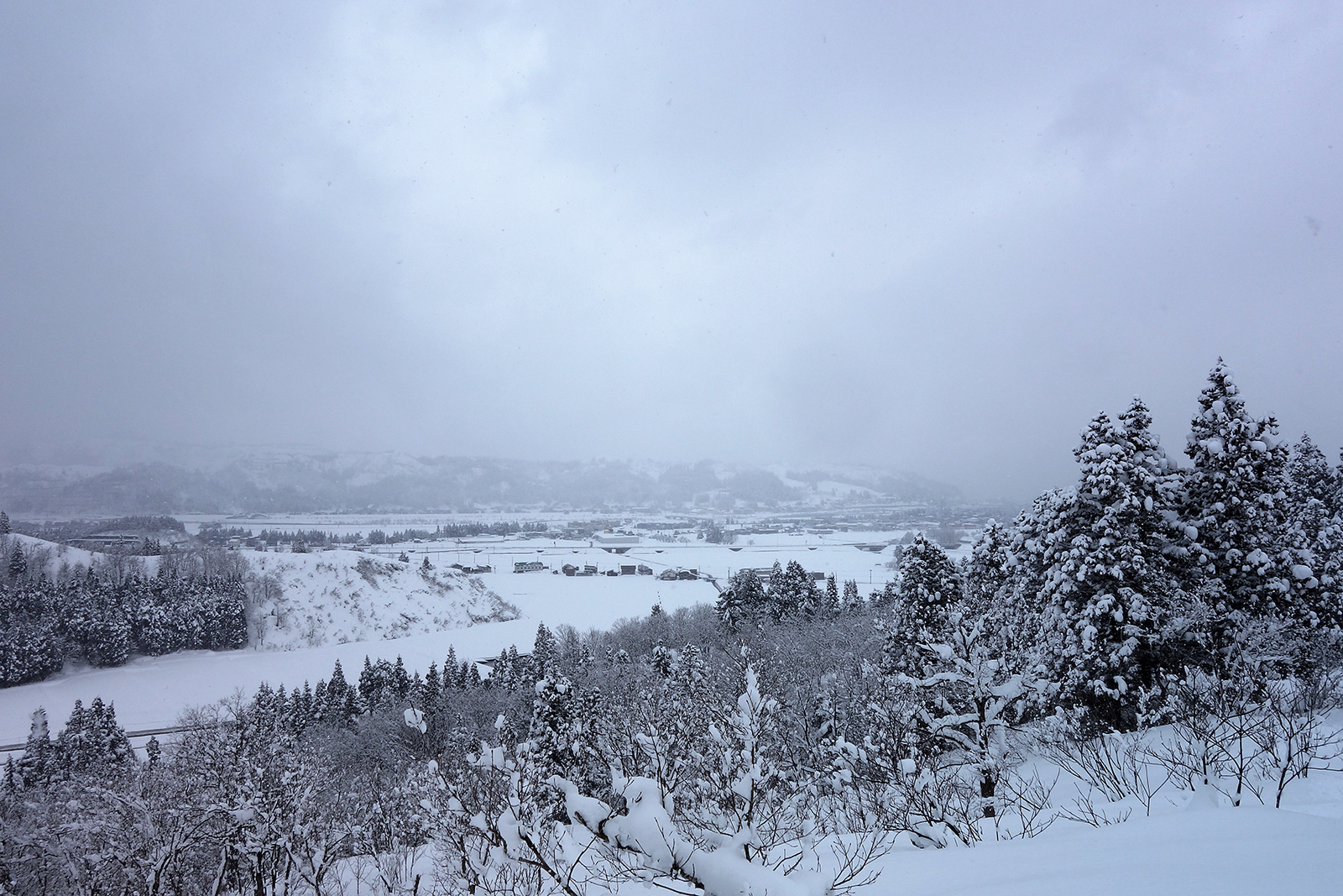 f:id:hiromu228:20190212180650j:plain
