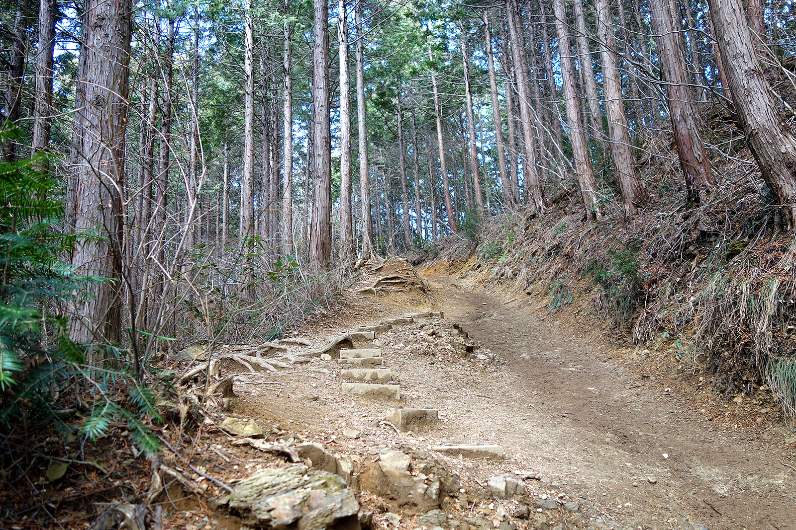 f:id:hiromu228:20190304182157j:plain f:id:hiromu228:20190304182157j:plain