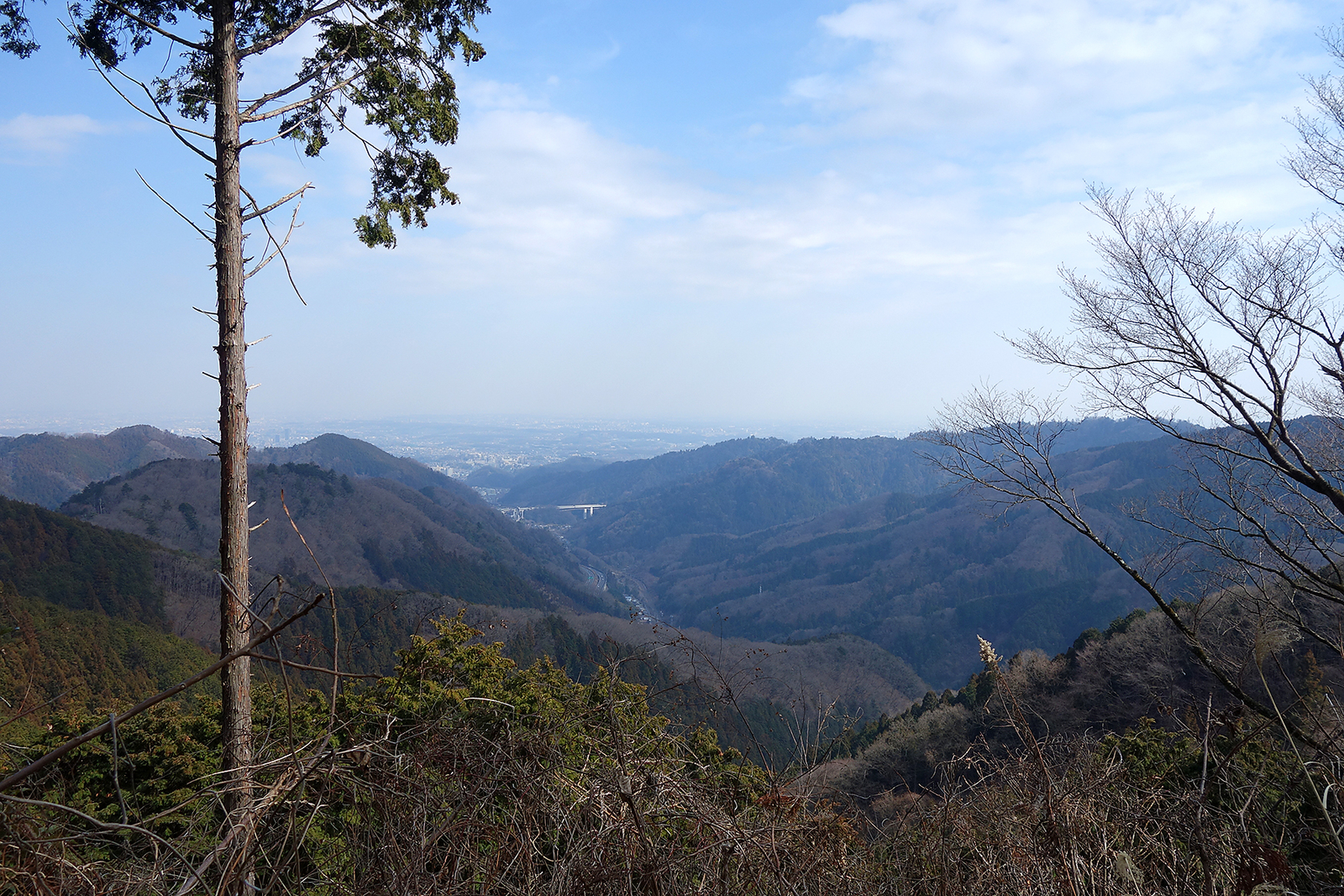 f:id:hiromu228:20190304182203j:plain f:id:hiromu228:20190304182203j:plain