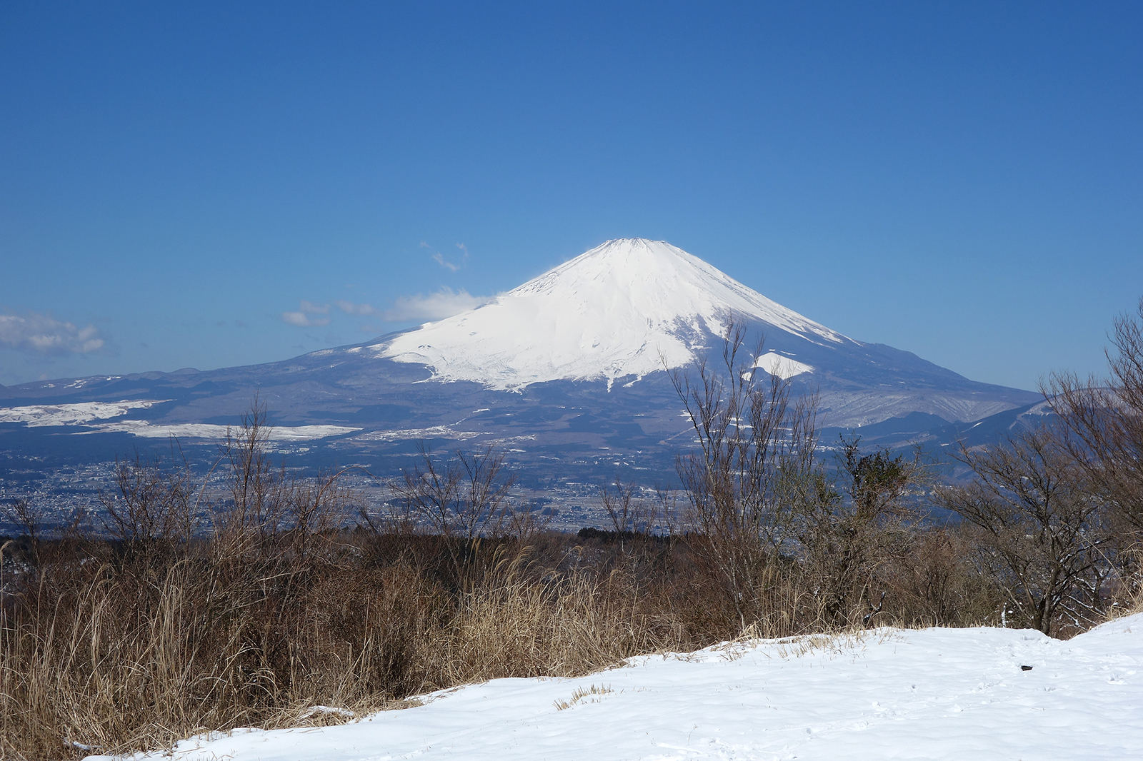 f:id:hiromu228:20190325185218j:plain