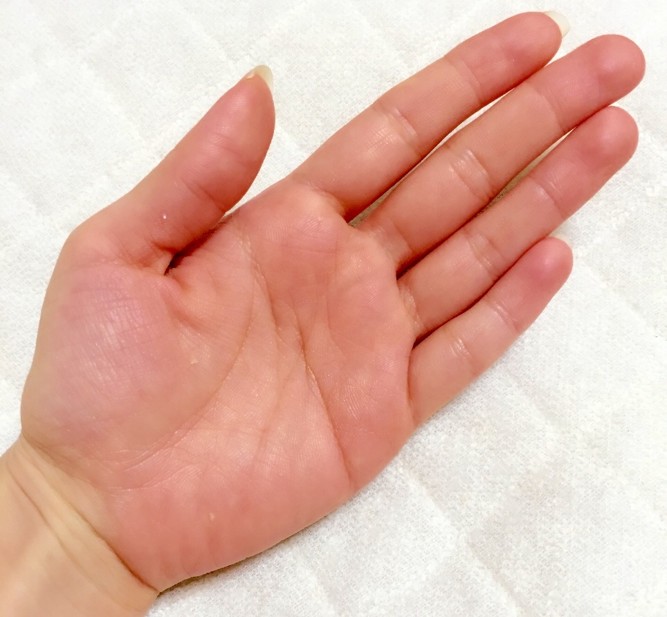 f:id:hiromutan:20190609204653j:plain