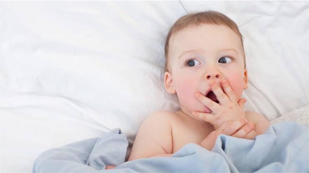 f:id:hiromutan:20190805113421j:image