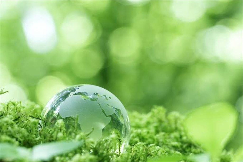 f:id:hiromutan:20200807132518j:image f:id:hiromutan:20200807132518j:image